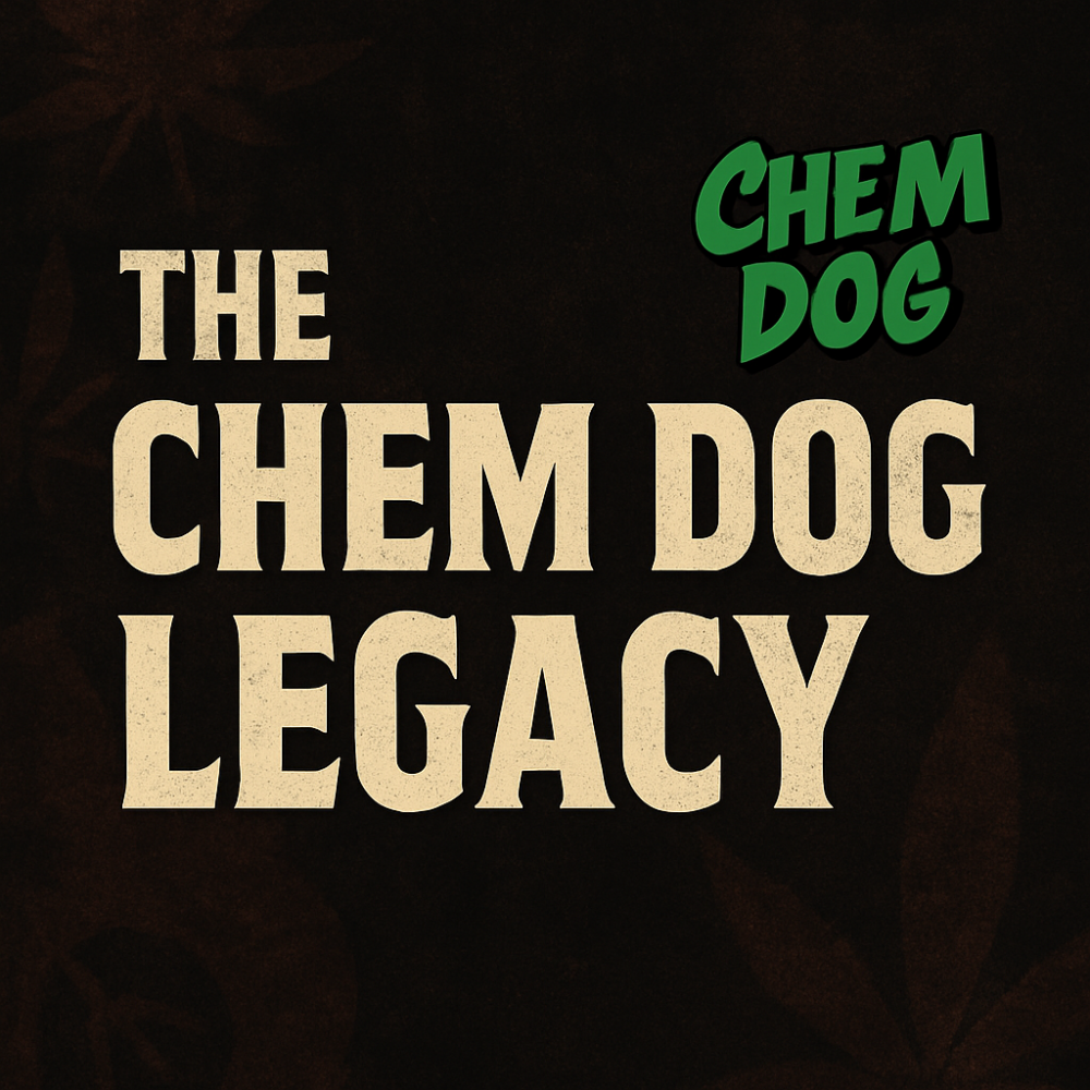 Featured image for The Chem Dog Legacy blog post, showing bold distressed text on a grungy background with the Chem Dog logo in the corner.