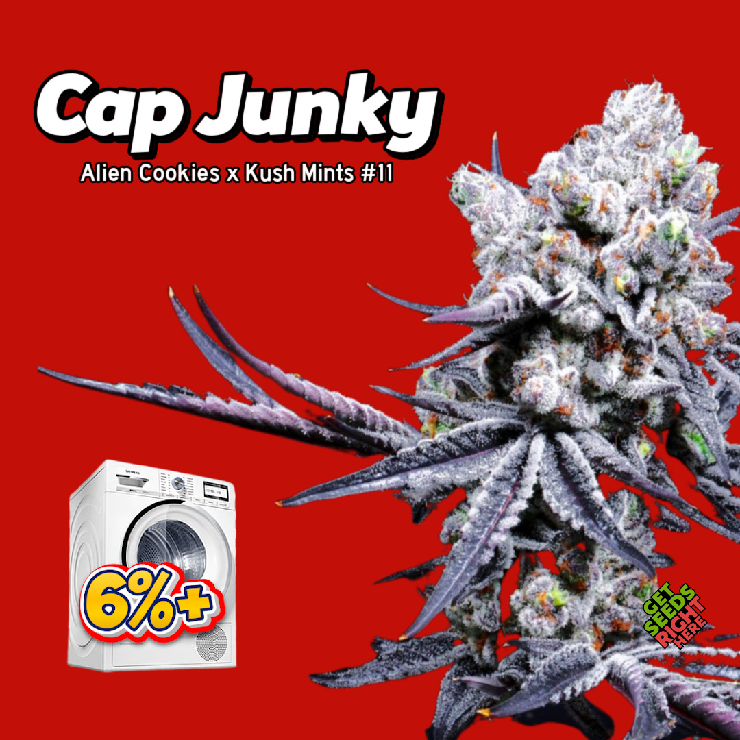 Cap Junky Cannabis Clones