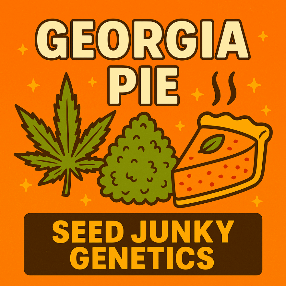 Illustration of Georgia Pie strain with cannabis leaf, nug, and pie slice on orange background; text reads "Georgia Pie – Seed Junky Genetics"