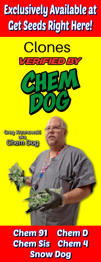Greg Krzanowski, aka Chem Dog, holding cannabis plants with text "Verified by Chem Dog" and clone names Chem 91, Chem D, Chem Sis, Chem 4, Snow Dog.