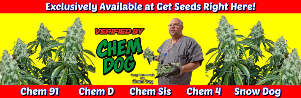 Greg Krzanowski, aka Chem Dog, holding cannabis plants with text "Verified by Chem Dog" and clone names Chem 91, Chem D, Chem Sis, Chem 4, Snow Dog.