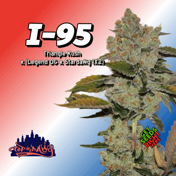 I-95 Cannabis Clones