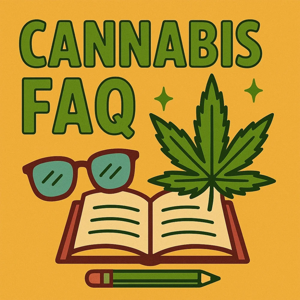 Cannabis FAQ blog illustration with marijuana leaf, book, sunglasses, and pencil.