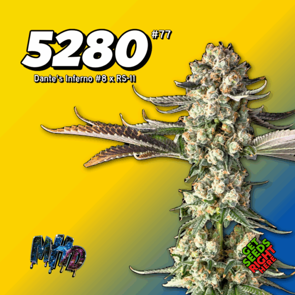 5280-77 by Mile High Dave (1)