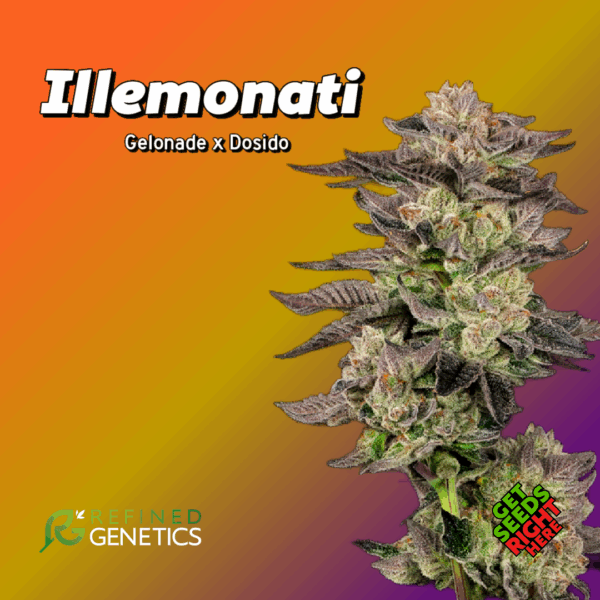 Illemonati by Refined Genetics