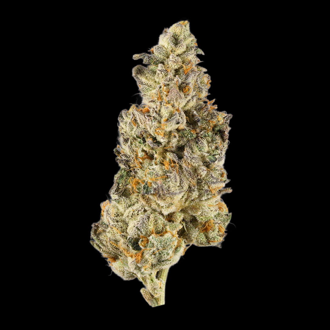 Banana Split Clone Bud