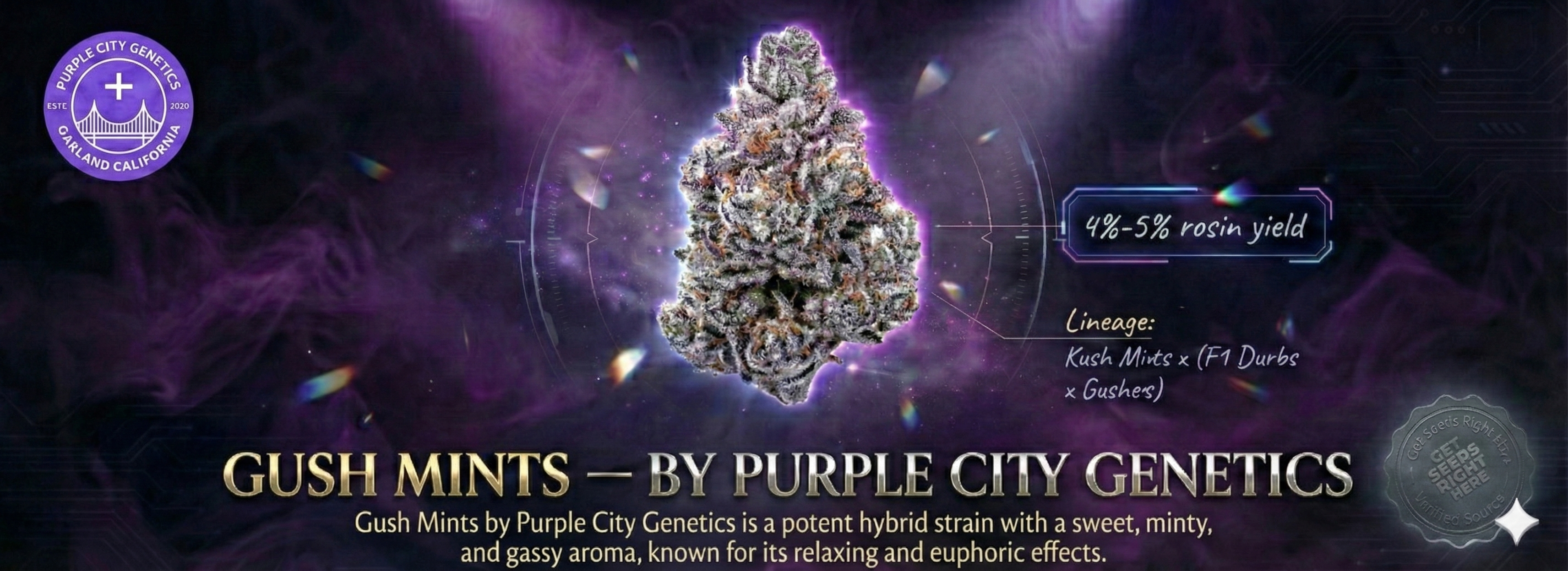 Gush Mints Cannabis Strain Art