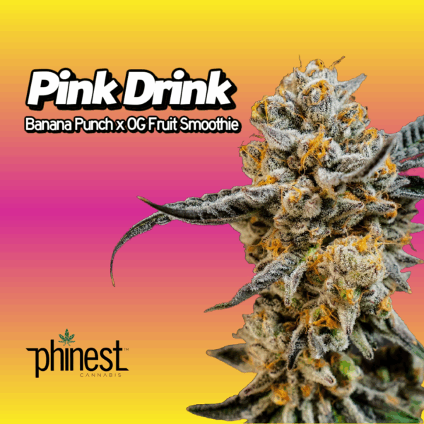 Pink Drink Cannabis Clones