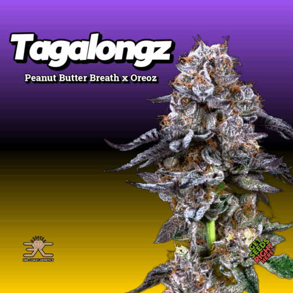 Tagalongz Cannabis Clones