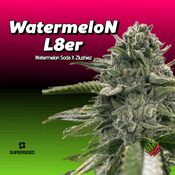 WatermeloN L8er Cannabis Clones