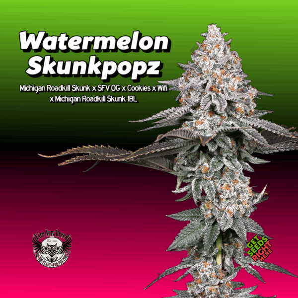 Watermelon Skunkpopz Cannabis Clones
