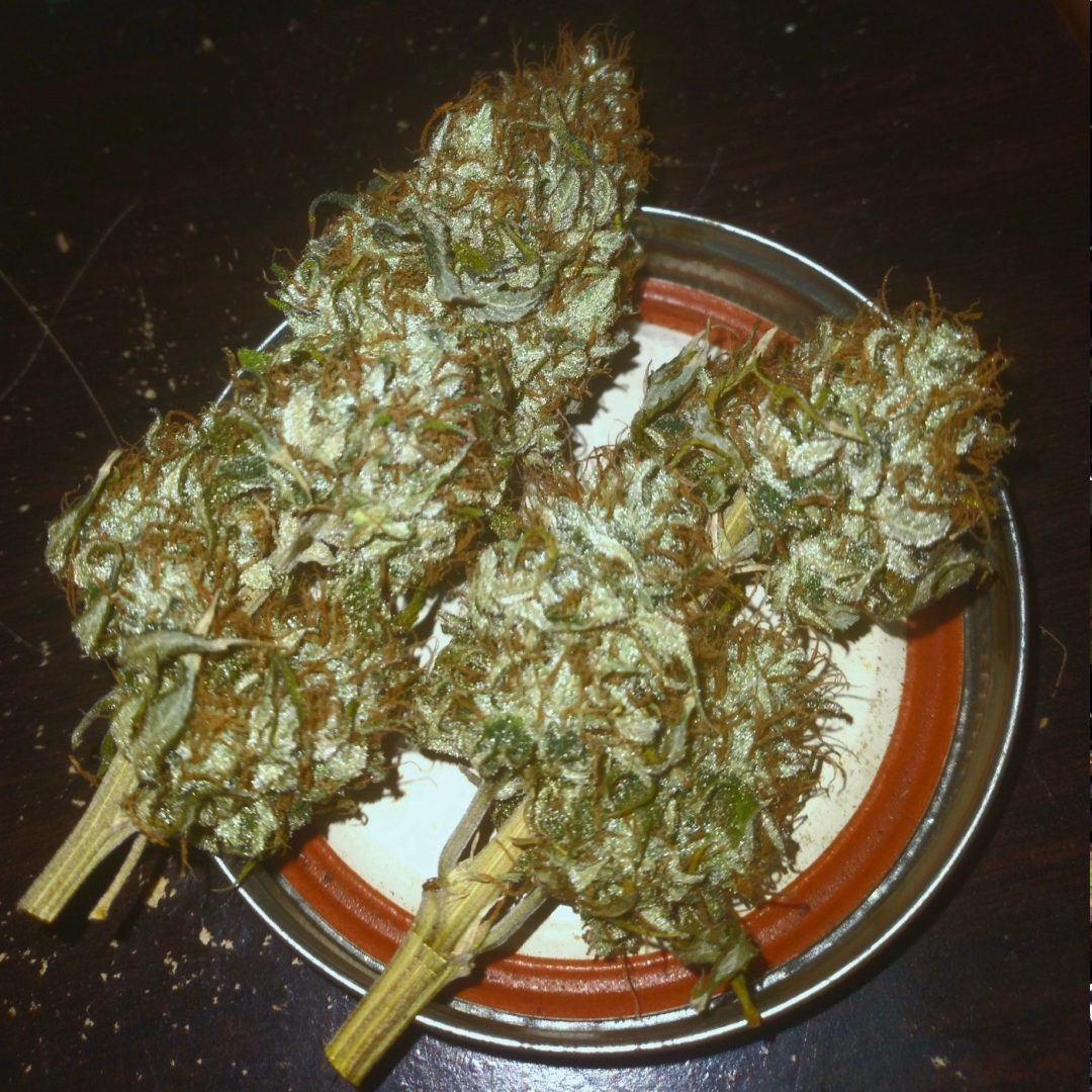 Tahoe OG Dried Flower