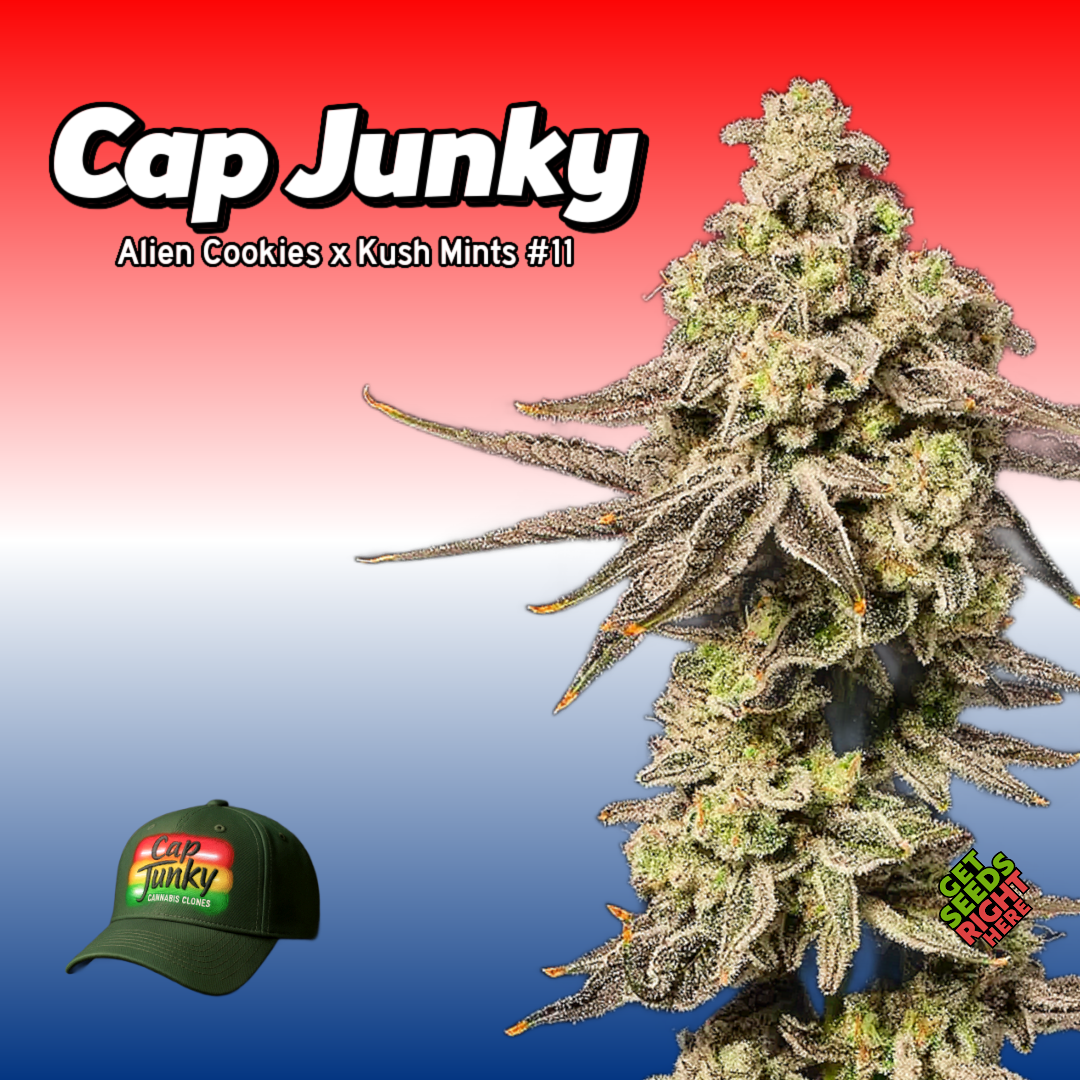 Cap Junky Clone Main