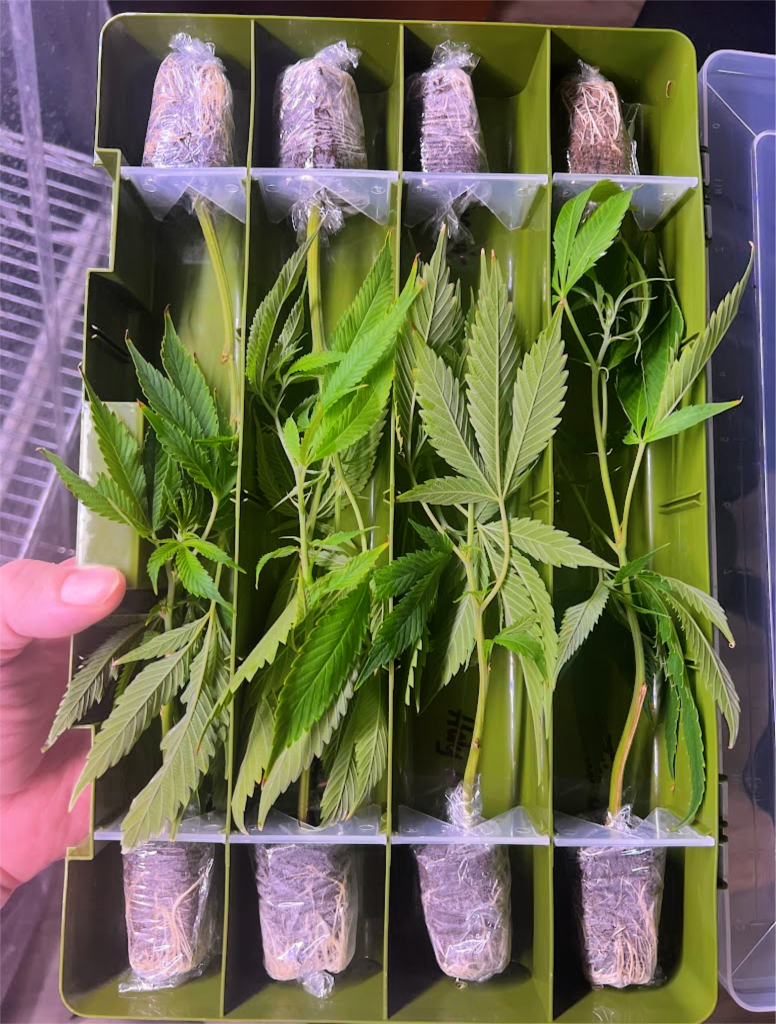 Secure Clone Packaging