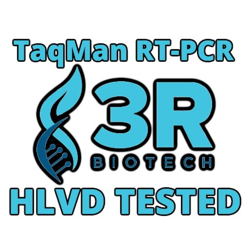 Lab Test Icon