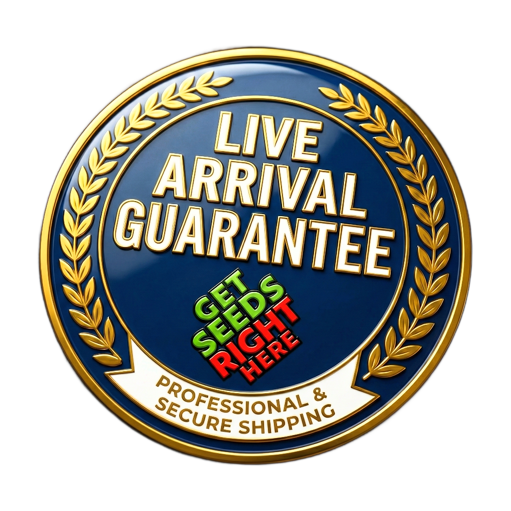 Live Arrival Guarantee