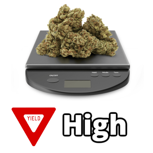 High Yield